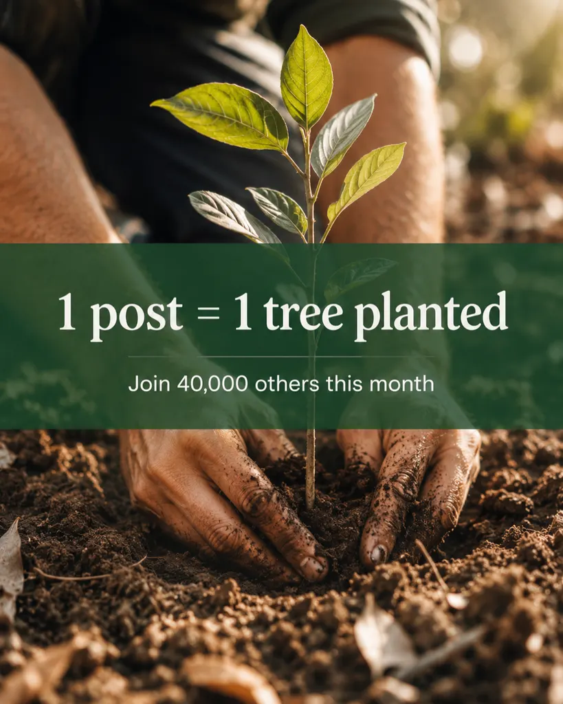 Planting hope, one tree at a time