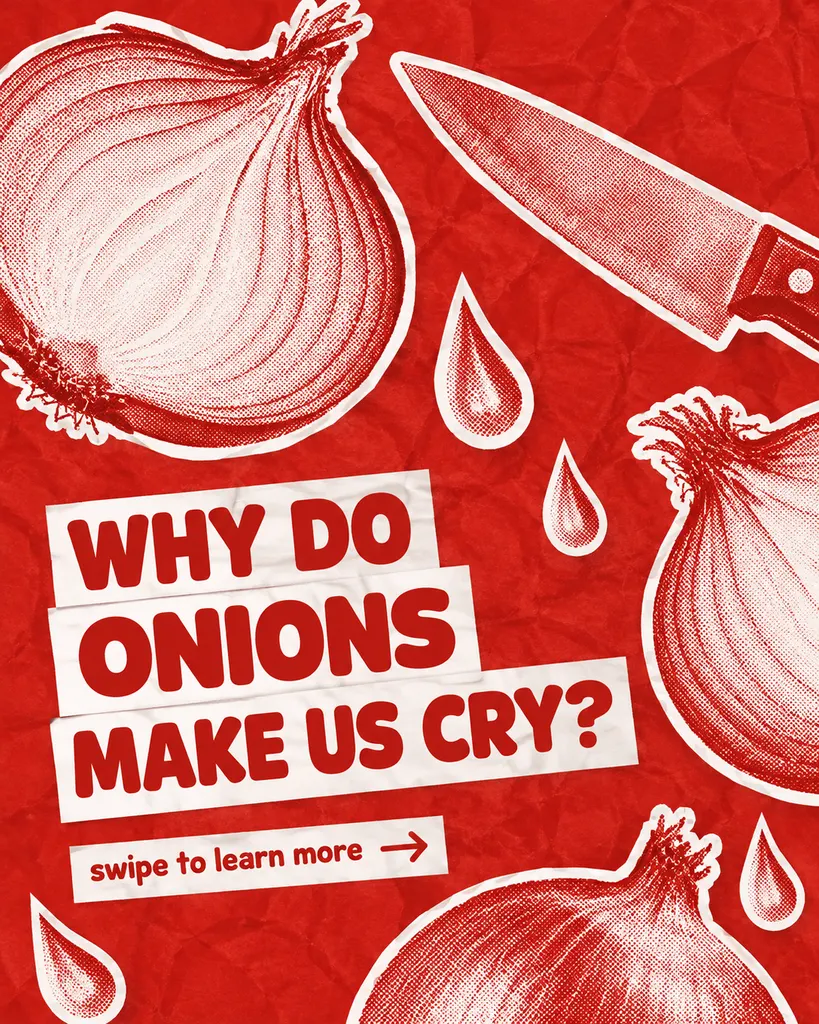 Quick Food Fact